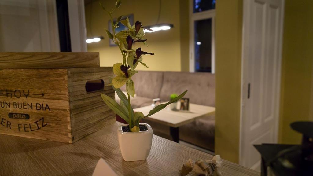Hotel-Feuerstein Neuenkirchen  Kültér fotó